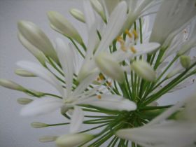 IMG_1449.jpg