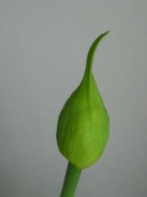 e.JPG