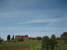 IMG_1081.jpg